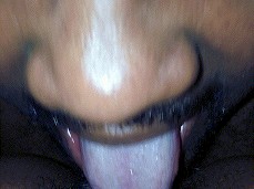 Pussy Lickin gif