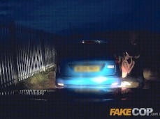 speeding ticket gif