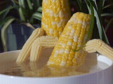 Corny Cornsex...Wack off to this, I dare you. gif