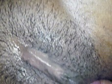 Cock Head Fucking Ebony Ass gif