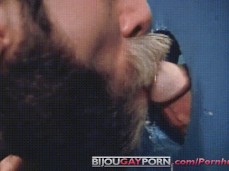 beardedgloryblow gif