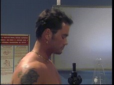 Dale dabone retro blowjob gif