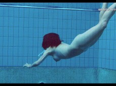 swim swim gif