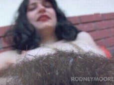 hairy pussy gif