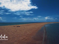 #beach #girl gif