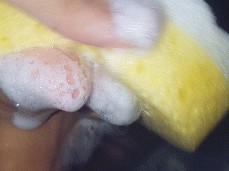 soapy feet gif