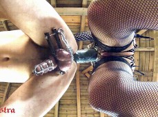 #femdom #pegging gif