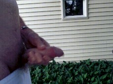 Backyard Jerking and Cum gif