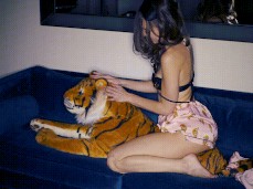 riley reid riding tiger gif