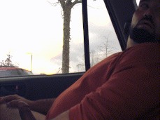 hung daddy car jack gif