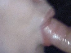 blowjob gif