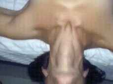 Upside down Cock Suck gif