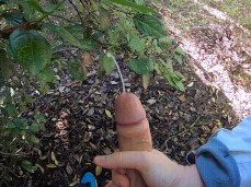 #public #forest #cum #handjob gif