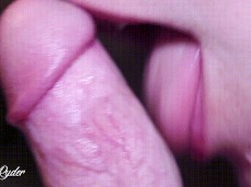 Extreme closeup blowjob gif