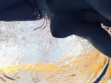 Underwater Stripping gif