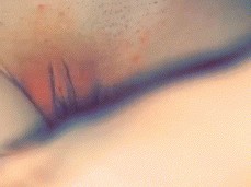 dirty lil slut gets off in her panties gif