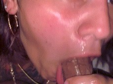 #sloppy #blowjob gif