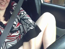 dildocar gif