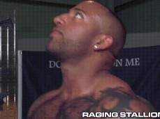 & white muscle hunks; cock sucking 0309 1 gif