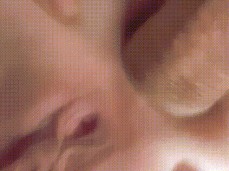 POV Anal gif