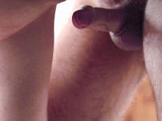 creampie gif