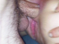 amateur anal pov gif