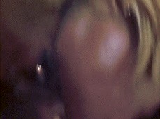 French rose métisse suck Dick a car12 gif