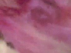 84094089 gif