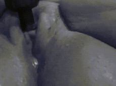 pussy gif