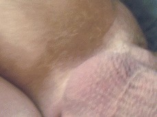 Cream pie closeup gif