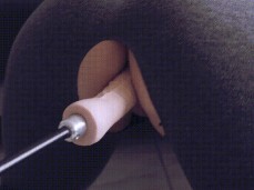 Leggings doggy fuckmachine gif