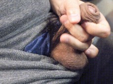 i like bear cock gif