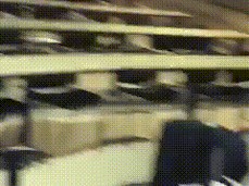 asdasdasdasda da sd a gif