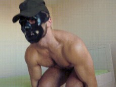 Athletic, masked WorldStud undressing, rock hard cock reveal 0137-1 5 gif