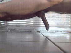 Fucking oily floor gif