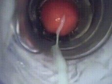 fleshlight creampie gif