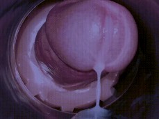 fleshlight creampie gif