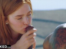 pretty face blowjob gif