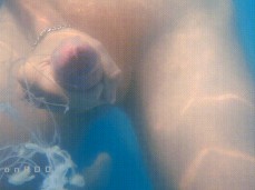 Under water cumshot 0543-1  ropes of cum gif