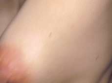 pokies!! gif