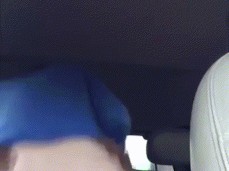 BackseatBBC gif