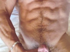 hung,  muscle hunk Valdemar 0441-1 3 gif