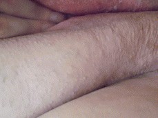 Plump Tasty Fat Pussy gif