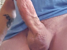 big, thick, rock hard, throbbing cock 0207-1 1 gif