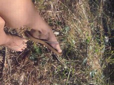 Sexy feet posing in flip flops gif