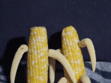 hot corn gif