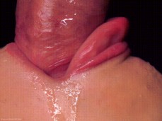 close up blowjob gif