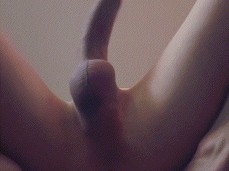 big dick tgirl gif