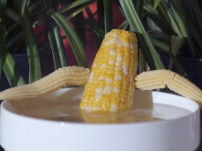 cornhub gif