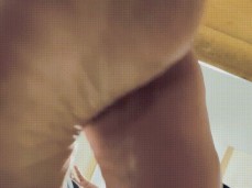 soles gif